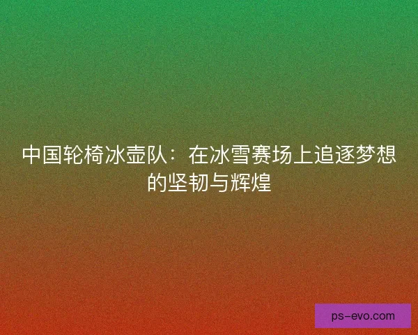 中国轮椅冰壶队：在冰雪赛场上追逐梦想的坚韧与辉煌