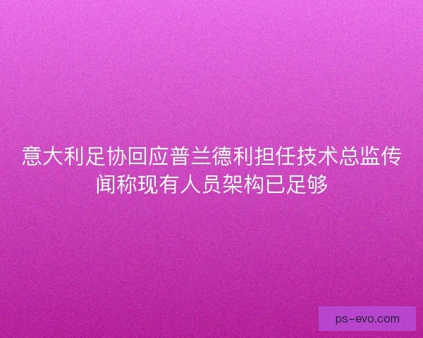 意大利足协回应普兰德利担任技术总监传闻称现有人员架构已足够 意大利足协回应普兰德利担任技术总监传闻称现有人员架构已足够